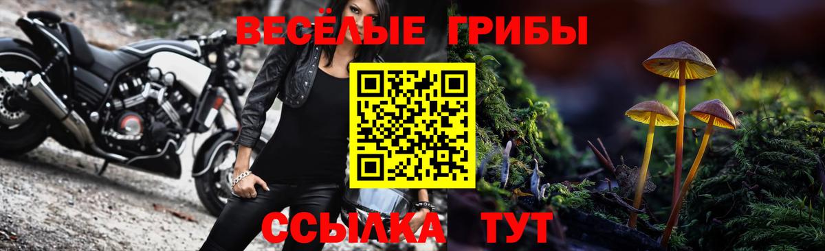 Галлюциногенные грибы мухоморы  купить наркоту  Всеволожск  Вход с VPN 